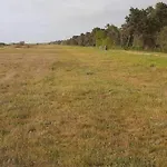 5 Person In