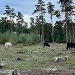 Σπίτι διακοπών 5 Person In Millinge