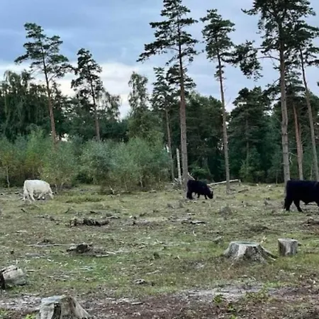 Feriehus 5 Person In Millinge